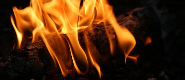 feu de bois bois-énergie-de-chauffage