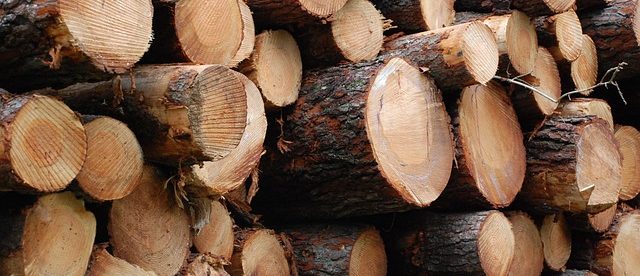 Les 5 avantages de la bûche de bois compressé