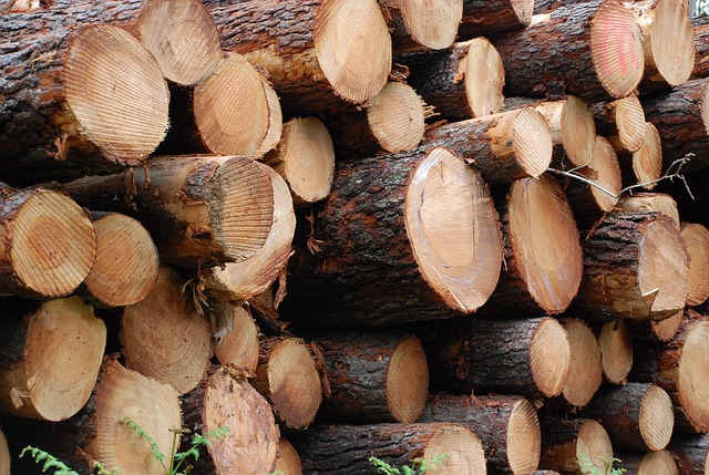 Les 5 avantages de la bûche de bois compressé