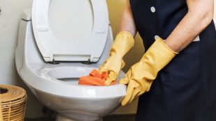 toilette