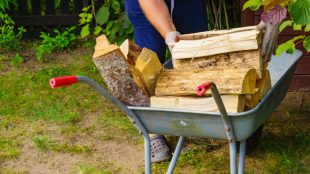 Acheter son bois de chauffage : guide pour faire le bon choix